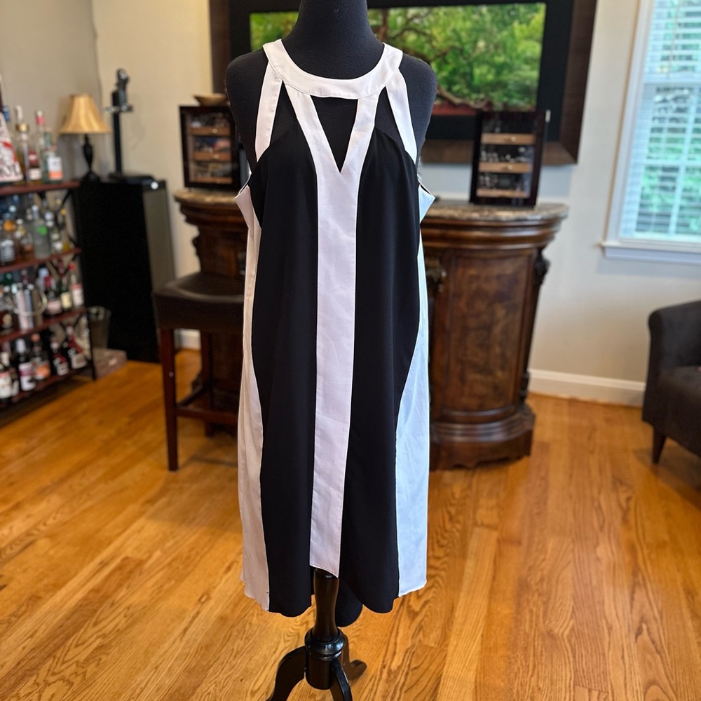Project RUNWAY B/W Dress
